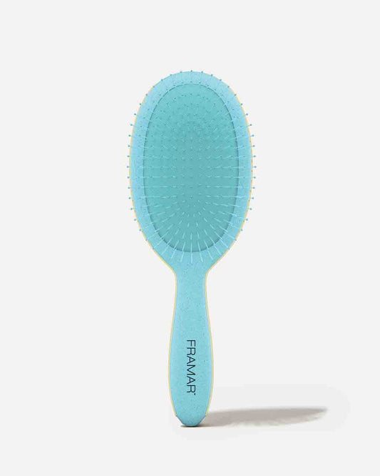Detangling Framar Brush Beacation Aqua