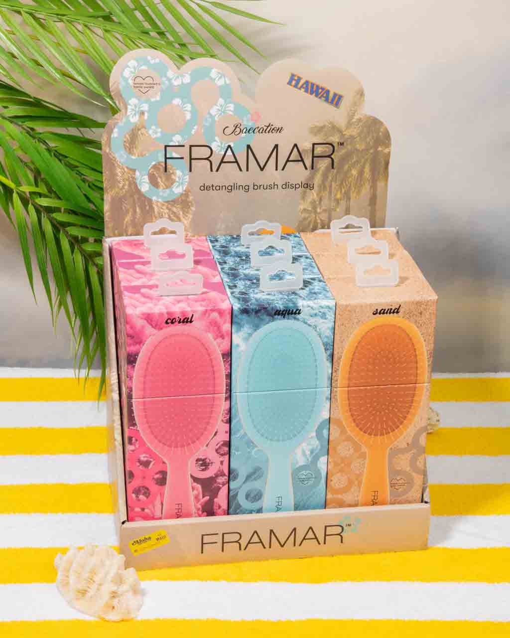 Detangling Framar Brush Opener Beacation