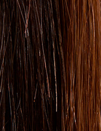 Rallonge Pony Up 18"" #4-33