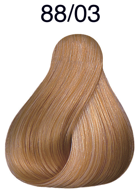 Tint Wella CT Plus 88/03 57g