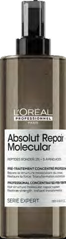 Pré-Traitement LP Absolut Repair Molecular 190ml