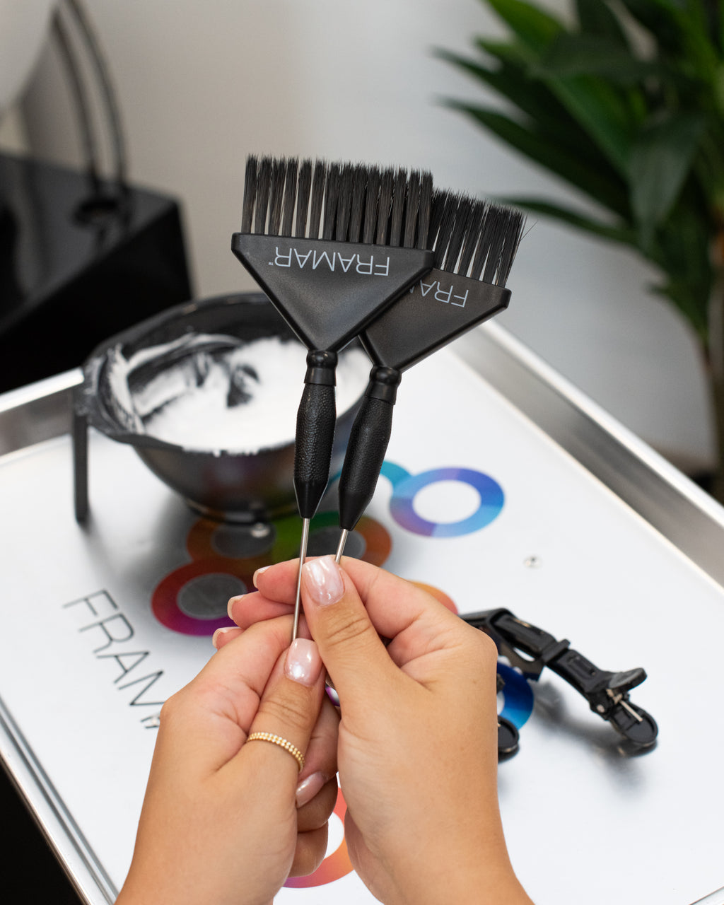 Framar Big Daddy Pintail Brush 2/pk