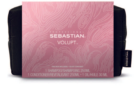 Seb Volupt Holiday Trio