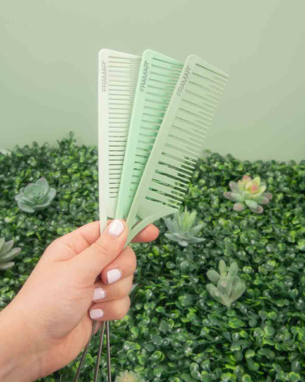 Framar DreamWeaver Comb Plant Mom